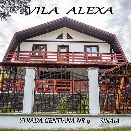 Casa Alexa Villa Sinaia Eksteriør bilde